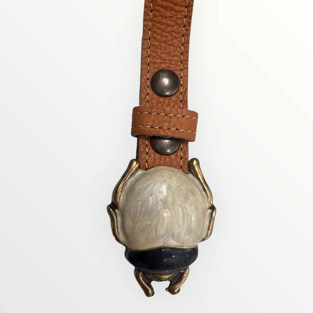 Cinturón Beetle
