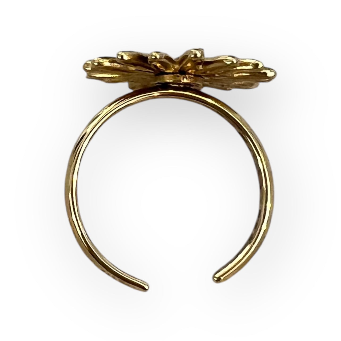 Anillo Amunet