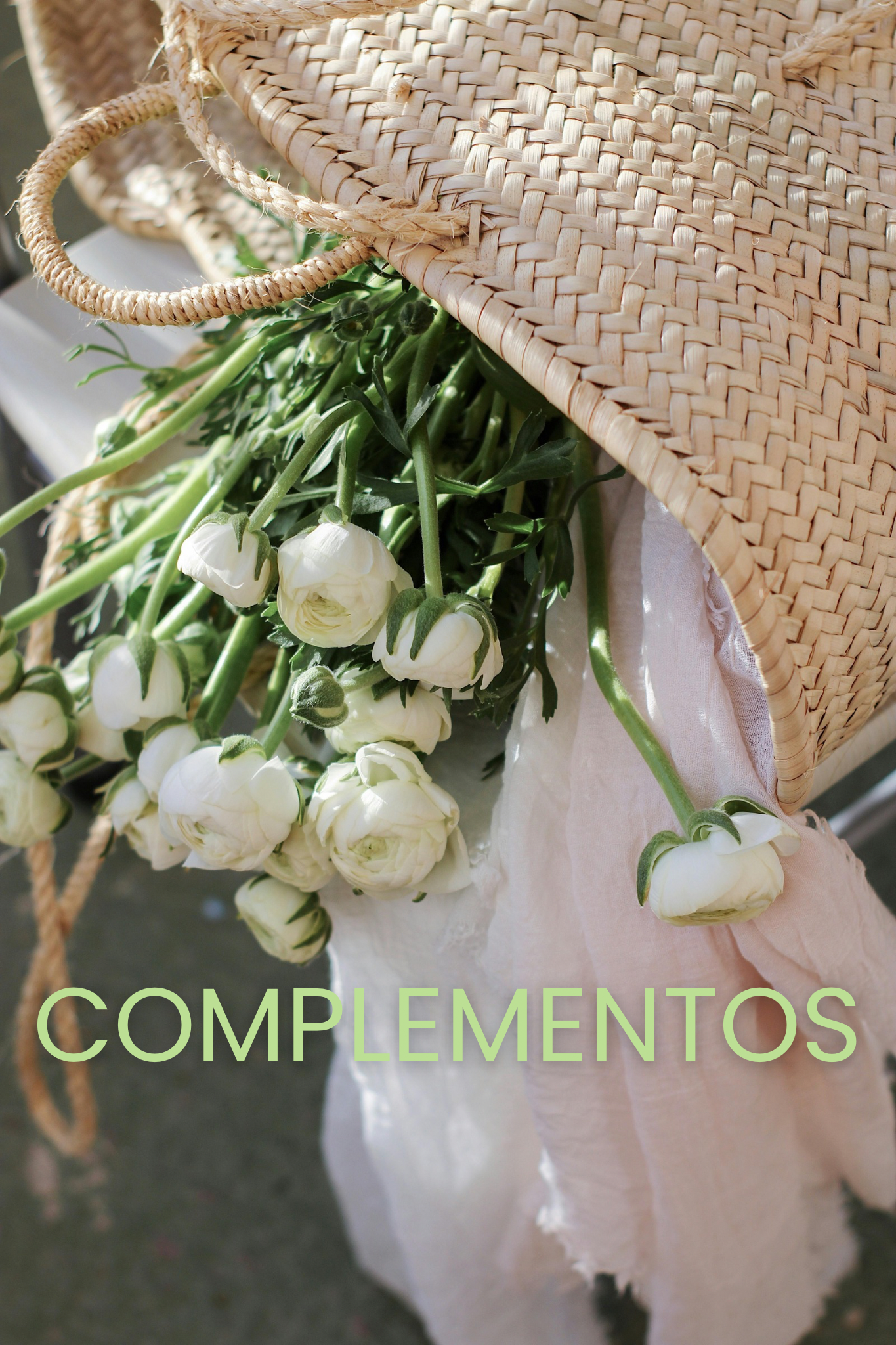 COMPLEMENTOS