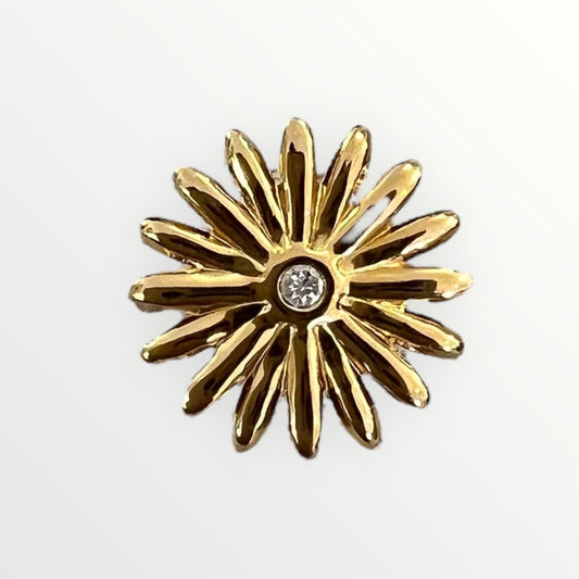 Anillo Amunet