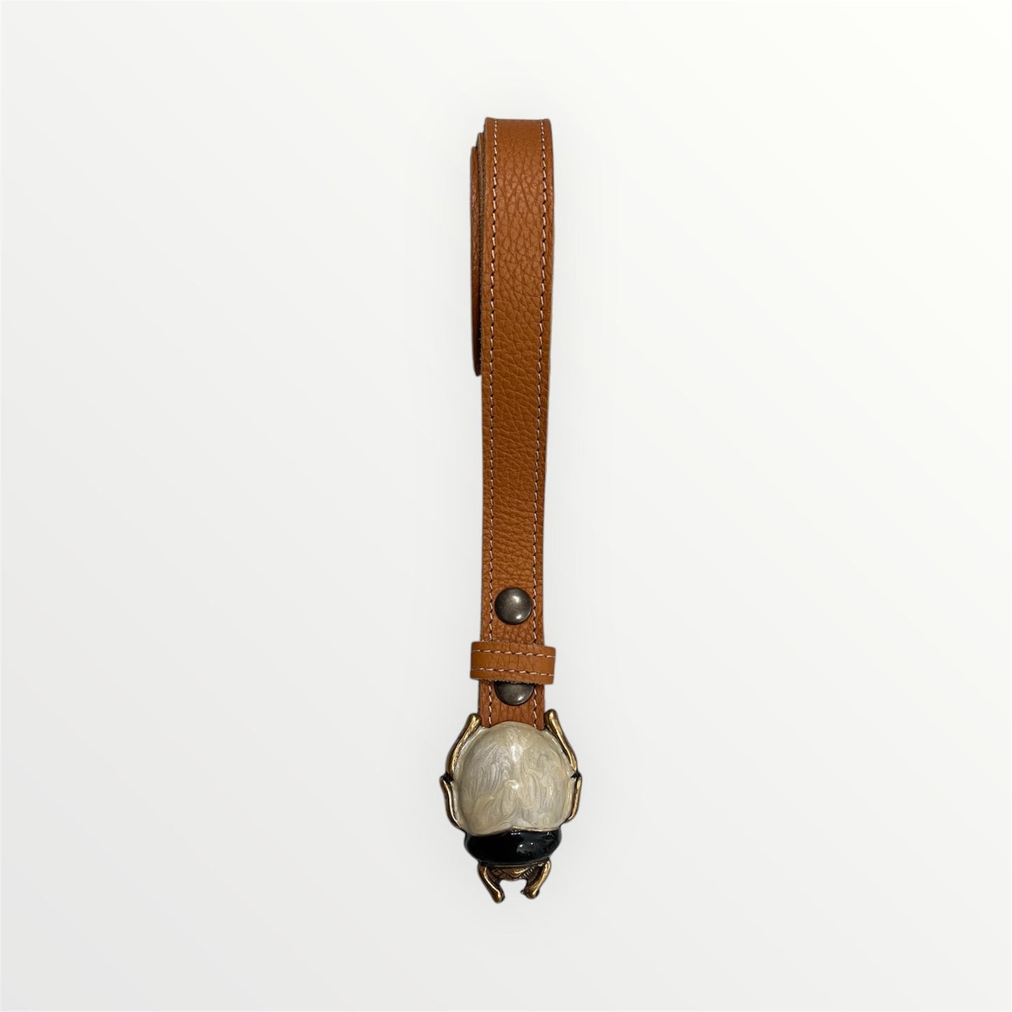Cinturón Beetle