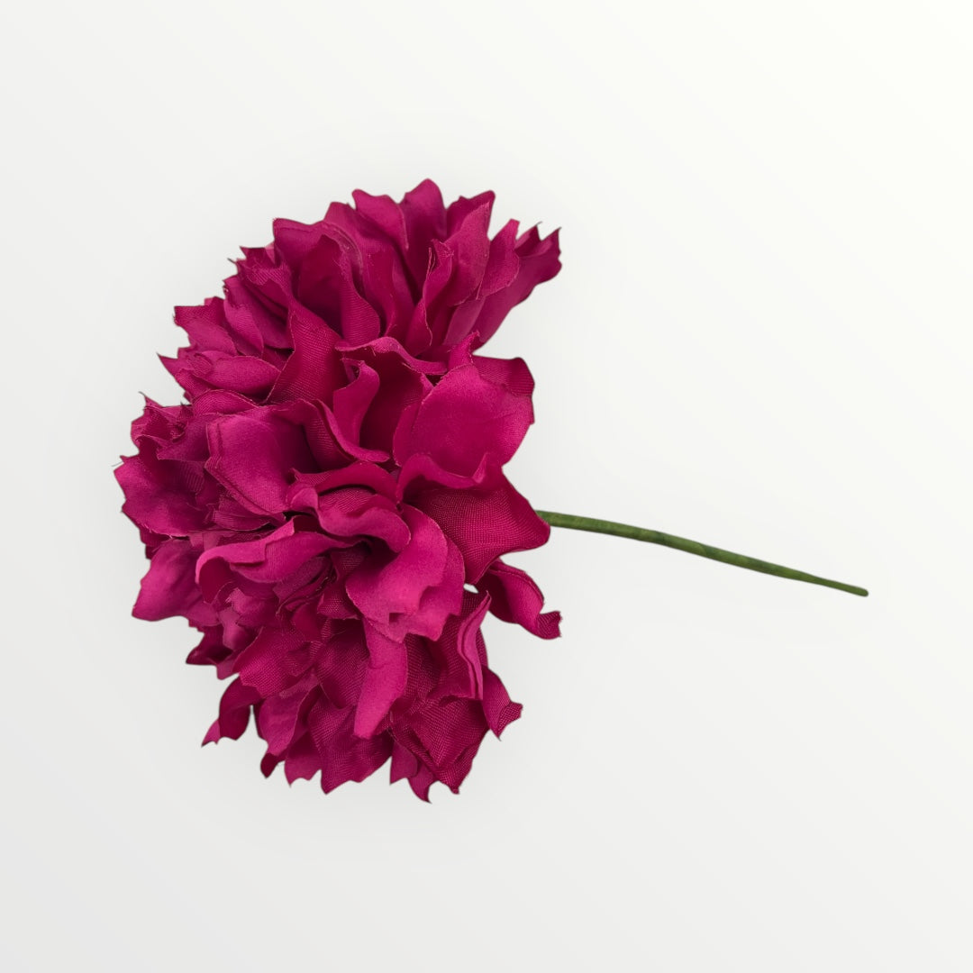 Flor ramillete buganvilla